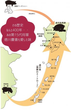 かごしま黒豚堪能3種セット しゃぶしゃぶ用 特集記事 | 明太子の島本