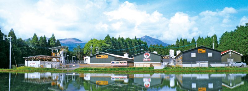 かごしま黒豚堪能3種セット しゃぶしゃぶ用 特集記事 | 明太子の島本