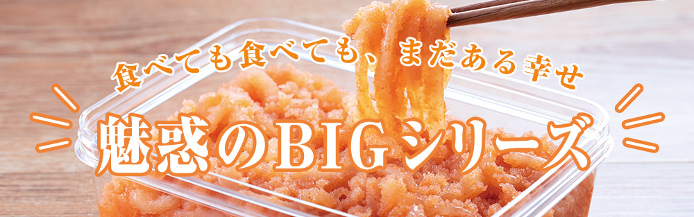 魅惑のBIGシリーズ
