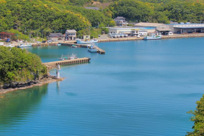 春のごちそうお魚セット 特集記事 | 明太子の島本