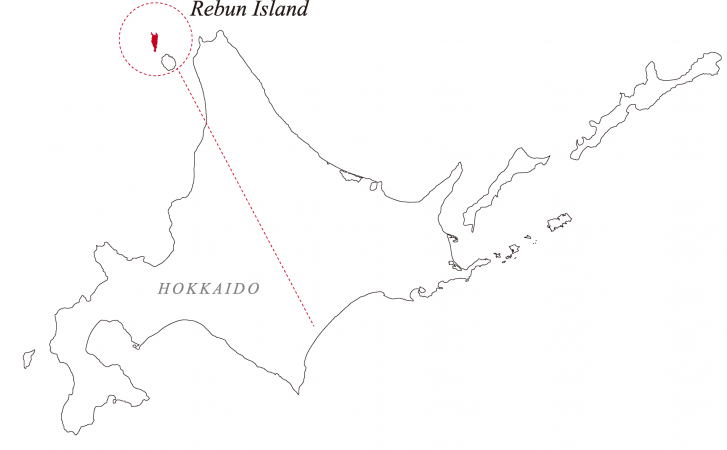 北海道 礼文島産 エゾバフン粒うに 特集記事 | 明太子の島本